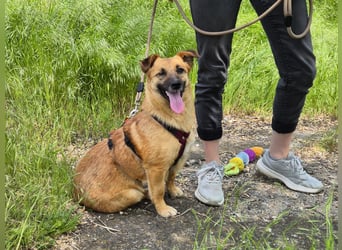Süße Candy sucht ein Zuhause