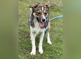 Süße Feli sucht liebe Menschen