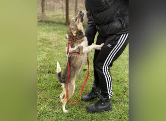 Süße Feli sucht liebe Menschen