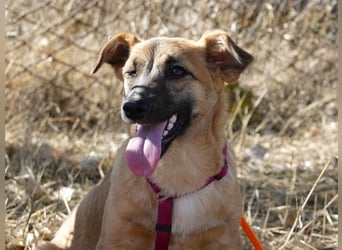 Süße Candy sucht ein Zuhause