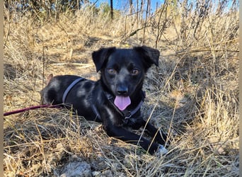 Sanfte Nisha sucht ihre Menschen