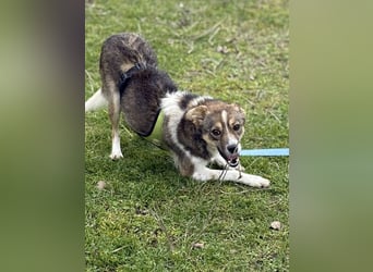 Süße Feli sucht liebe Menschen