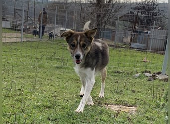 Süße Feli sucht liebe Menschen