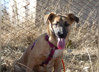 Süße Candy sucht ein Zuhause