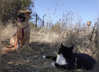 Süße Candy sucht ein Zuhause