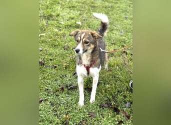 Süße Feli sucht liebe Menschen