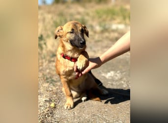 Süße Candy sucht ein Zuhause