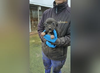 Steffi sucht Kuschelplatz