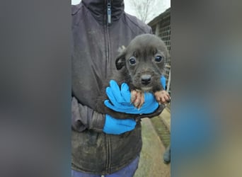 Steffi sucht Kuschelplatz