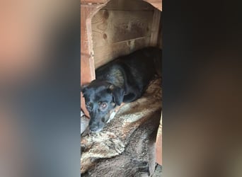 Zoe möchte ein zu Hause