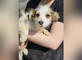 Wanja sucht ihre Familie