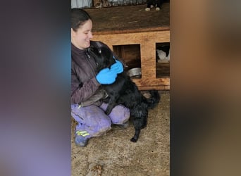 Nimbus sucht seine Menschen
