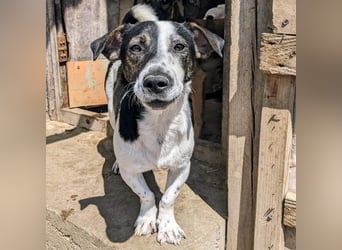 Wo bleibt Nino's Glück?
