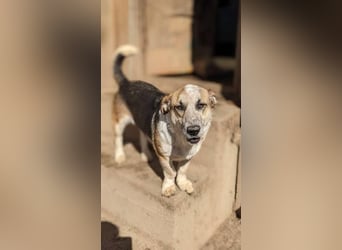 Fiete hätte fast Glück gehabt