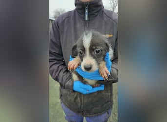 Sabina möchte ein zu Hause