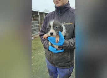 Sabina möchte ein zu Hause