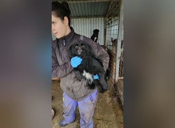 Nimbus sucht seine Menschen