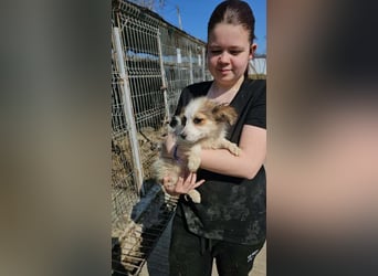 Wanja sucht ihre Familie