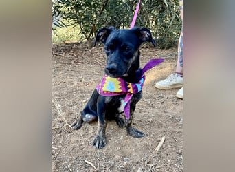 süße Maus Doris sucht DICH