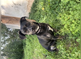 süße Maus Doris sucht DICH