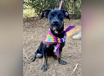 süße Maus Doris sucht DICH