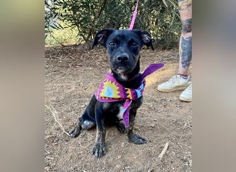 süße Maus Doris sucht DICH