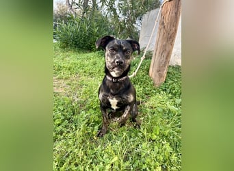 süße Maus Doris sucht DICH