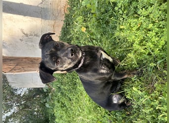 süße Maus Doris sucht DICH