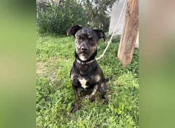 süße Maus Doris sucht DICH