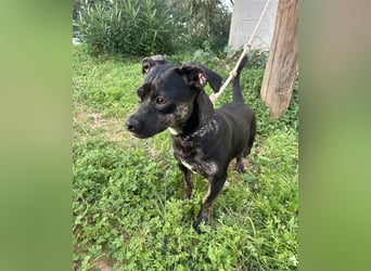 süße Maus Doris sucht DICH