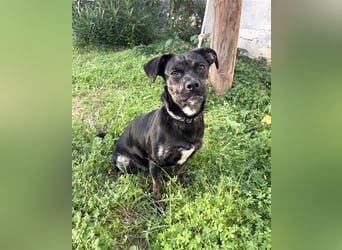 süße Maus Doris sucht DICH