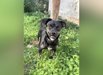 süße Maus Doris sucht DICH