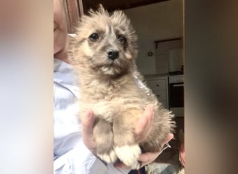 Jury sucht seine Menschen