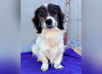 Rocky, kleines Männlein sucht seine Familie