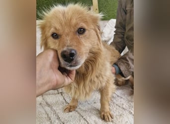 Socke – fröhlicher kleiner Grinsebär sucht sein Glück