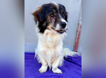 Rocky, kleines Männlein sucht seine Familie