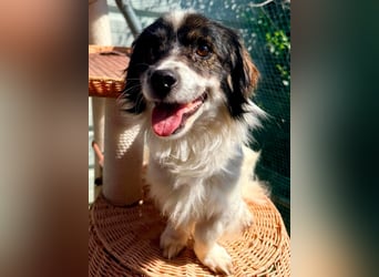Rocky, kleines Männlein sucht seine Familie
