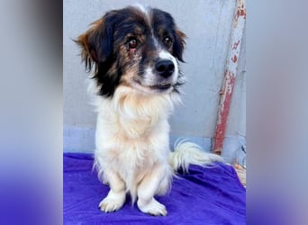 Rocky, kleines Männlein sucht seine Familie
