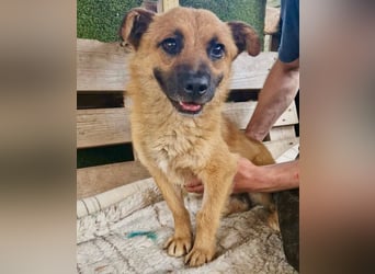Kleiner Thor sucht sein großes Glück