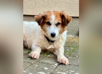 Anka möchte endlich dazugehören