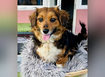 Mini Knutschkugel Kessie