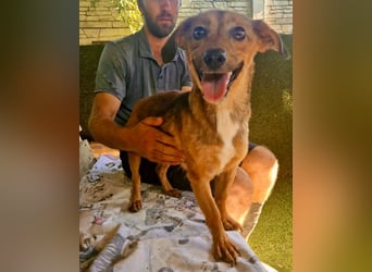 Souly, kleine Kämpferin sucht ihr Glück