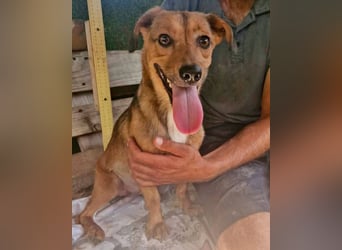 Souly, kleine Kämpferin sucht ihr Glück