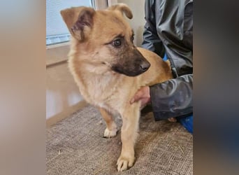 Zaubermaus AVA sucht ihr Zuhause