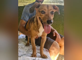 Souly, kleine Kämpferin sucht ihr Glück