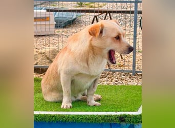 Theo, kleine Knutschkugel sucht seine Familie
