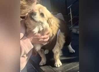 32cm Mini Männlein Janni