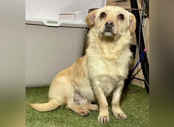 Kleines, zartes Männlein Justus