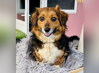 Mini Knutschkugel Kessie