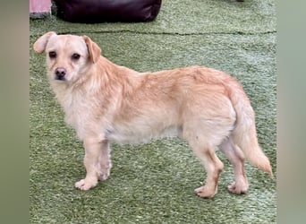 Kleines, zartes Männlein Justus